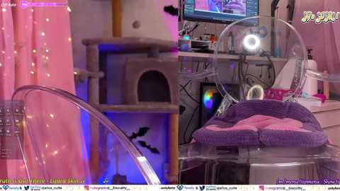 Media: _biscuitty Chaturbate 2024-03-07 00:48:00