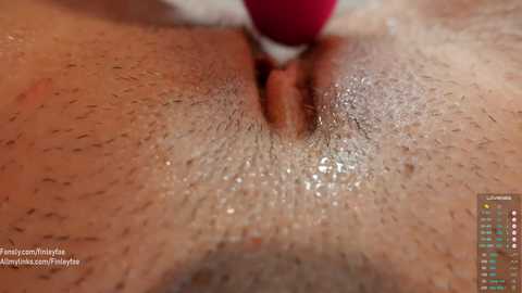 Media: finleyfae Chaturbate 2024-03-07 20:49:00