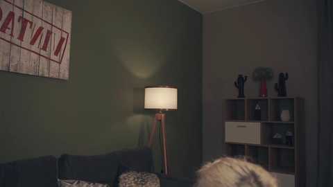 Media: audreycarvin Chaturbate 2024-03-08 14:29:00