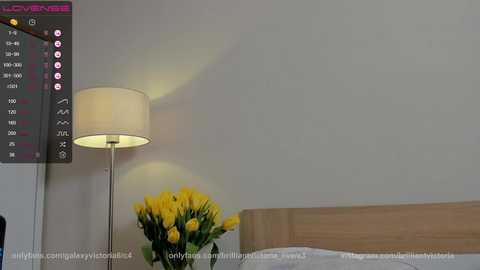 Media: brilliantvictoria Chaturbate 2024-03-11 14:02:00