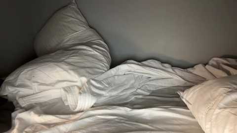 Media: bonnettbonett Chaturbate 2024-03-13 04:49:00