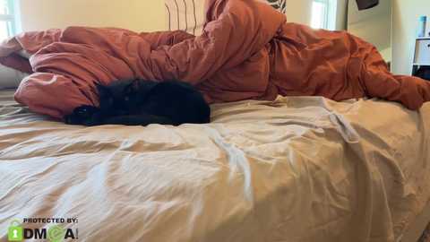 Media: cxbraj Chaturbate 2024-03-13 20:51:00