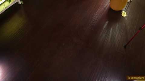 Media: ksensual Chaturbate 2024-03-13 00:54:00