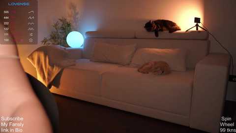 Media: ms_seductive Chaturbate 2024-03-13 20:54:00