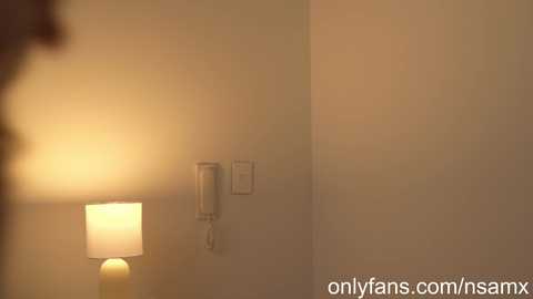 Media: naughtysammx Chaturbate 2024-03-13 15:54:00