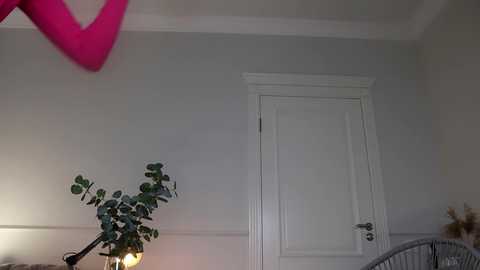 Media: mia_elfie Chaturbate 2024-03-14 19:58:00