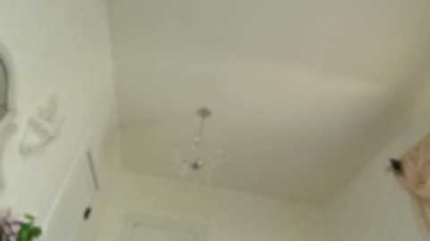 Media: littlegreekflower Chaturbate 2024-03-23 13:12:00