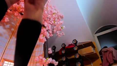 Media: xlanabunny Chaturbate 2024-03-24 17:22:00