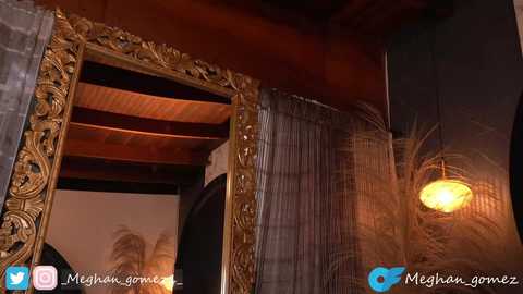 Media: _meghan_gomez1_ Chaturbate 2024-03-25 20:54:00