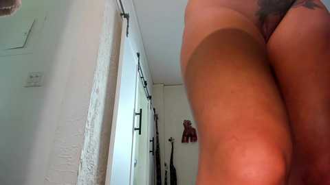 Media: alicelighthouse Chaturbate 2024-03-26 15:58:00