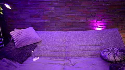 Media: fantasystudiox Chaturbate 2024-03-27 00:12:00