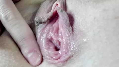 Media: courtney_luv Chaturbate 2024-03-31 16:13:00