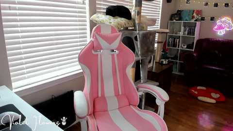 Media: violetttflowers Chaturbate 2024-03-31 20:10:00