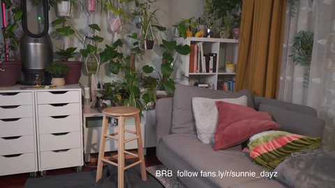 Media: sunniedayz Chaturbate 2024-04-02 09:39:00