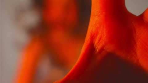 Media: eli_sun Chaturbate 2024-04-05 14:02:00