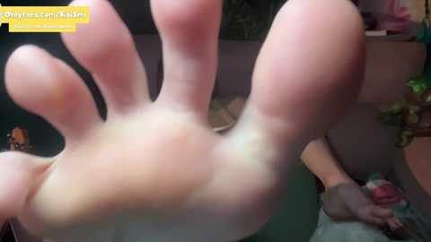 Media: kaileeshy Chaturbate 2024-04-06 06:52:00