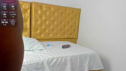 Media: alessiiaa_ Chaturbate 2024-09-18 19:20:00