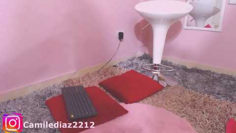 camile_diazzz @ chaturbate on 20240918