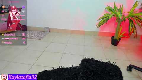 Media: calypso_and_ge1 Chaturbate 2024-09-19 21:49:00