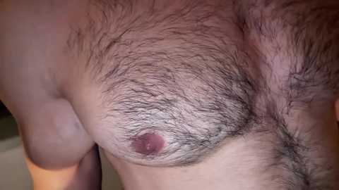 Media: musclehair3 Chaturbate 2024-09-19 20:09:00