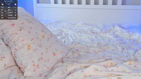 Media: pinkncrazy Chaturbate 2024-09-19 06:20:00
