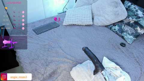 Media: angiee_roses Chaturbate 2024-09-20 04:54:00