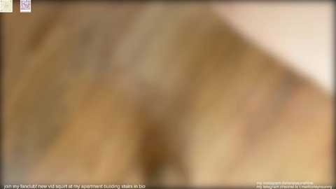 Media: honey_sunshine Chaturbate 2024-09-20 12:39:00