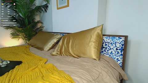 Media: alice_n_wooderland Chaturbate 2024-09-22 09:30:00