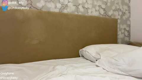 Media: ohbabykelly Chaturbate 2024-09-22 17:38:00