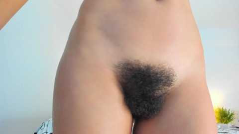 Media: bush_woman Chaturbate 2024-09-24 19:29:00