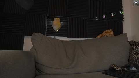 Media: rndmzd Chaturbate 2024-09-25 04:39:00