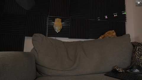 Media: rndmzd Chaturbate 2024-09-25 06:05:00
