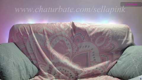 Media: sellapink Chaturbate 2024-09-27 13:55:00