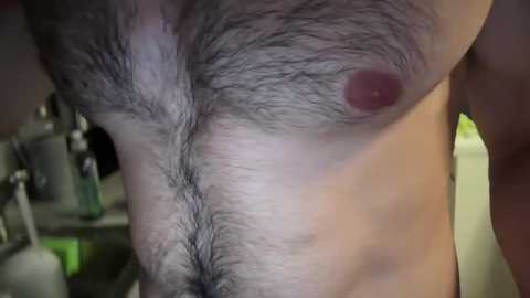 Media: musclehair3 Chaturbate 2024-09-28 17:23:00