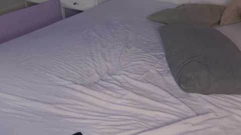Media: nellystarrr Chaturbate 2024-09-28 13:45:00
