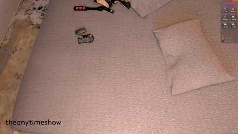 Media: theanytimeshow Chaturbate 2024-09-29 17:13:00