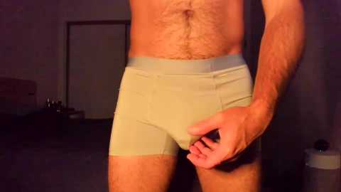 hung_dude_19 @ chaturbate on 20240930