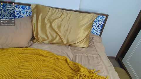 Media: alice_n_wooderland Chaturbate 2024-10-02 09:22:00