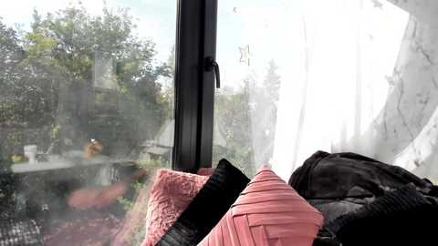 Media: sassyt33n Chaturbate 2024-10-03 12:07:00