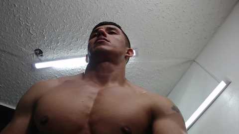 muscle__man @ chaturbate on 20241004