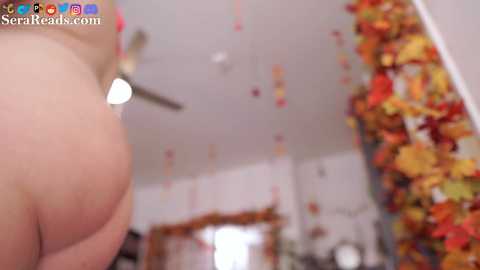 Media: serareads Chaturbate 2024-10-04 04:17:00