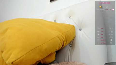 Media: _timeless_paradox Chaturbate 2024-10-05 12:23:00