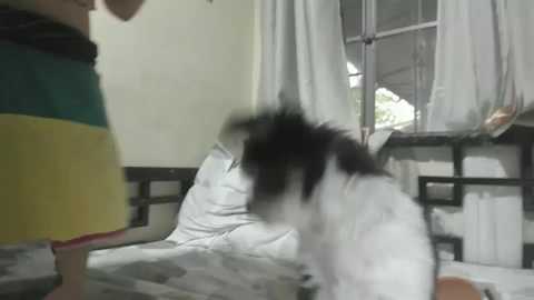 Media: xdreamangel Chaturbate 2024-10-05 08:42:00