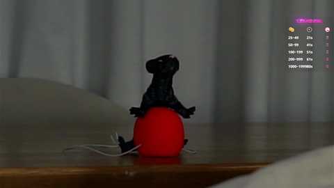 Media: taitehambelton Chaturbate 2024-10-06 04:33:00