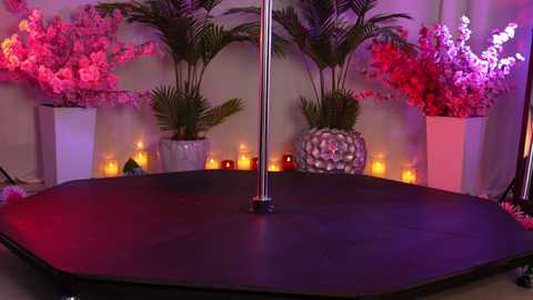 Media: kittycaitlin Chaturbate 2024-10-08 00:56:00