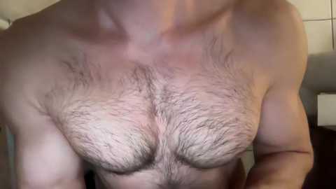 Media: musclehair3 Chaturbate 2024-10-08 22:03:00