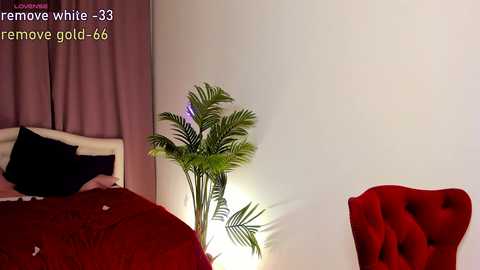 Media: alika_shy Chaturbate 2024-10-09 18:58:00