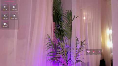 Media: liia_sweett Chaturbate 2024-10-09 19:57:00