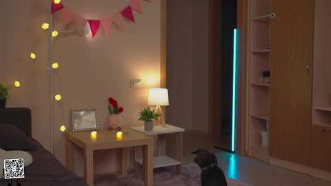 Media: tiny_miracle Chaturbate 2024-10-09 15:21:00