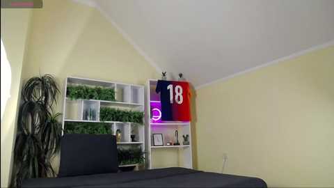tommy_raf @ chaturbate on 20241009